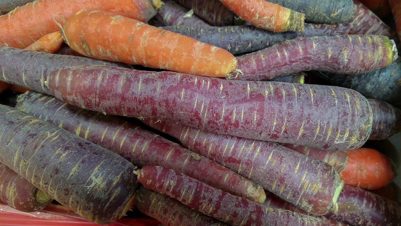 carrots, vegetables, vegetable garden-2289463.jpg